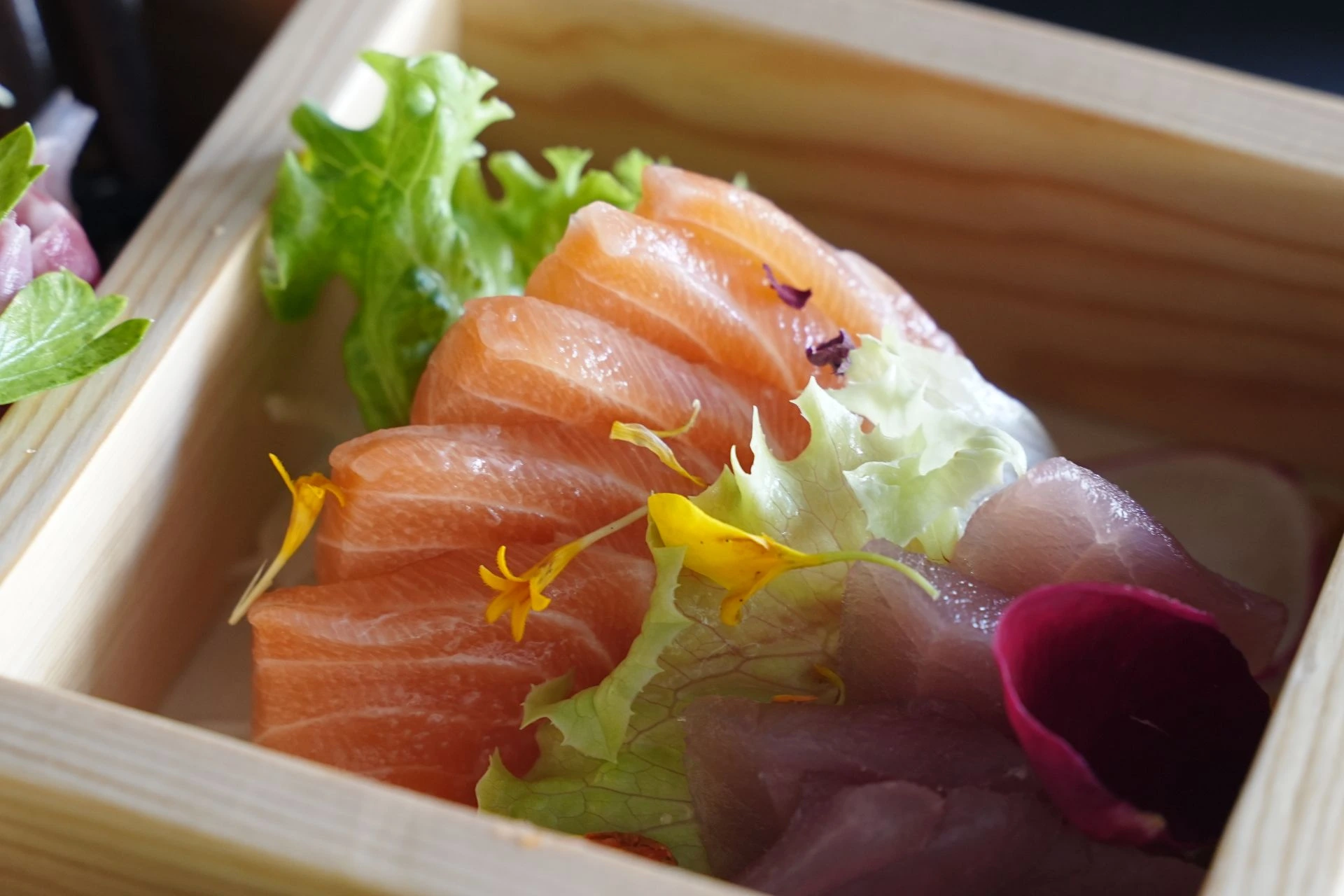 Sushi Dish freschi sashimi di salmone freschi sashimi di tonno