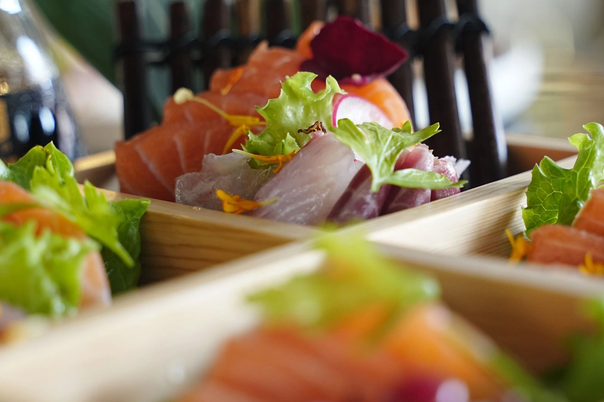 Sushi Dish reschi carpacci di salmone freschi carpacci di tonno